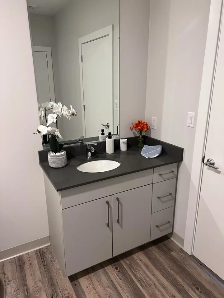 Master Room & Ensuite Bath - Brighton Residence room for rent