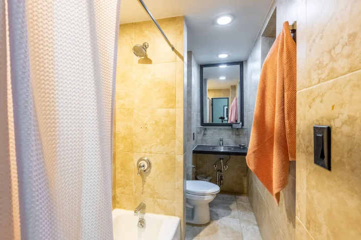 Studio Basic & Ensuite Bath - Midtown Manhattan room for rent