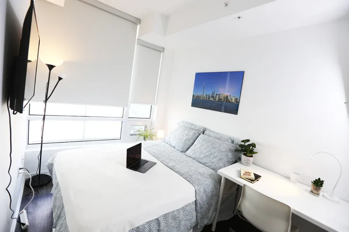 Deluxe Room -  Liberty Village room for rent