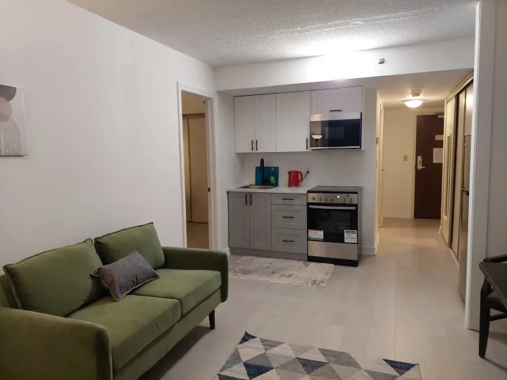 One Bedroom Apartment - RiverFlow room for rent