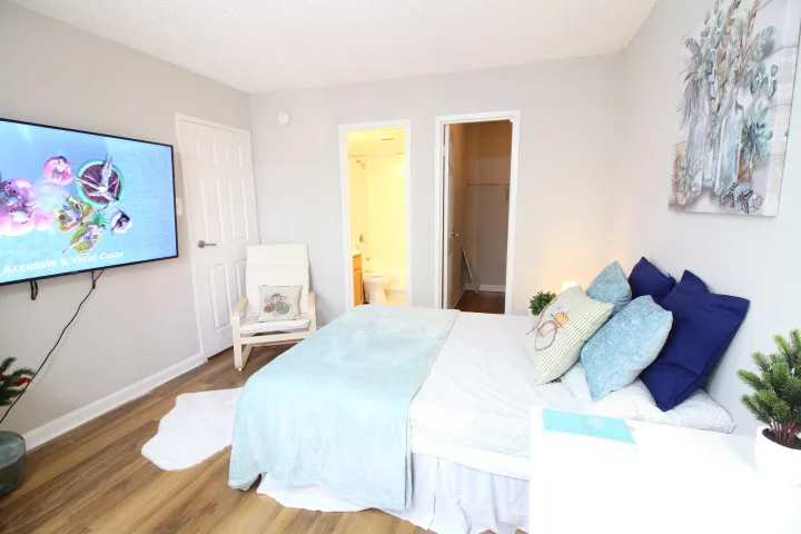 Master Room & Ensuite Bath - near Dupont Circle room for rent