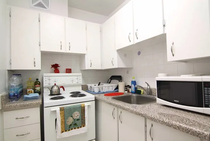 Bachelor Apartment - Sherbourne room for rent